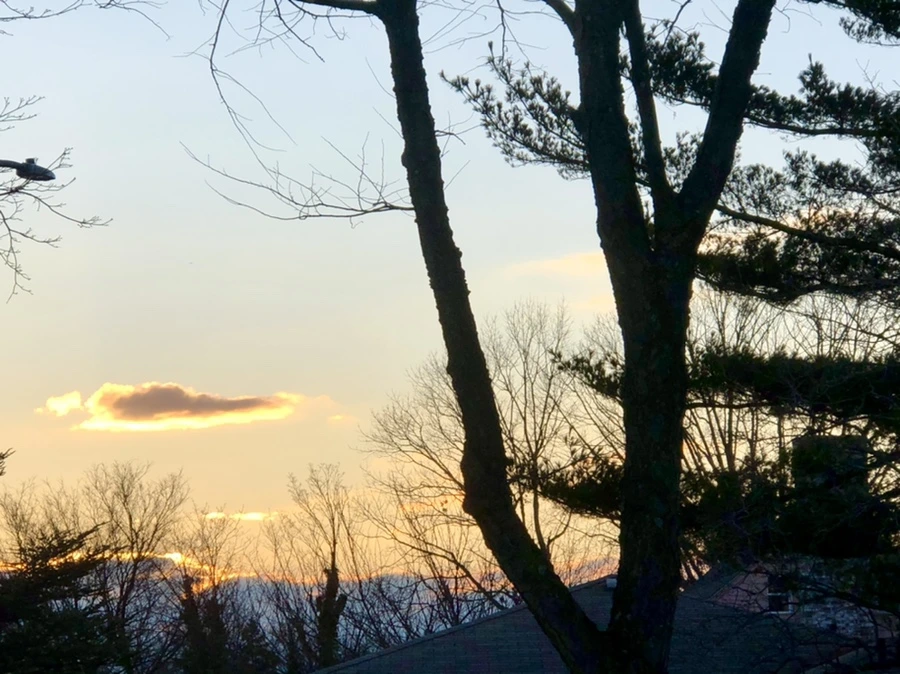 IMG_3054.jpg?type=w966