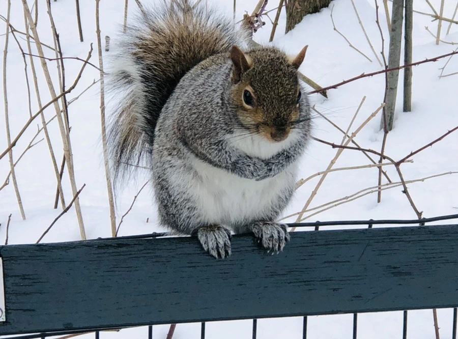 IMG_9517.jpg?type=w966