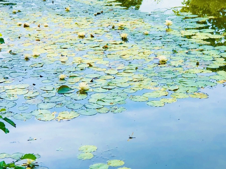 wIsSEpjDhGx-4Mj4l5YS7EwvfPM