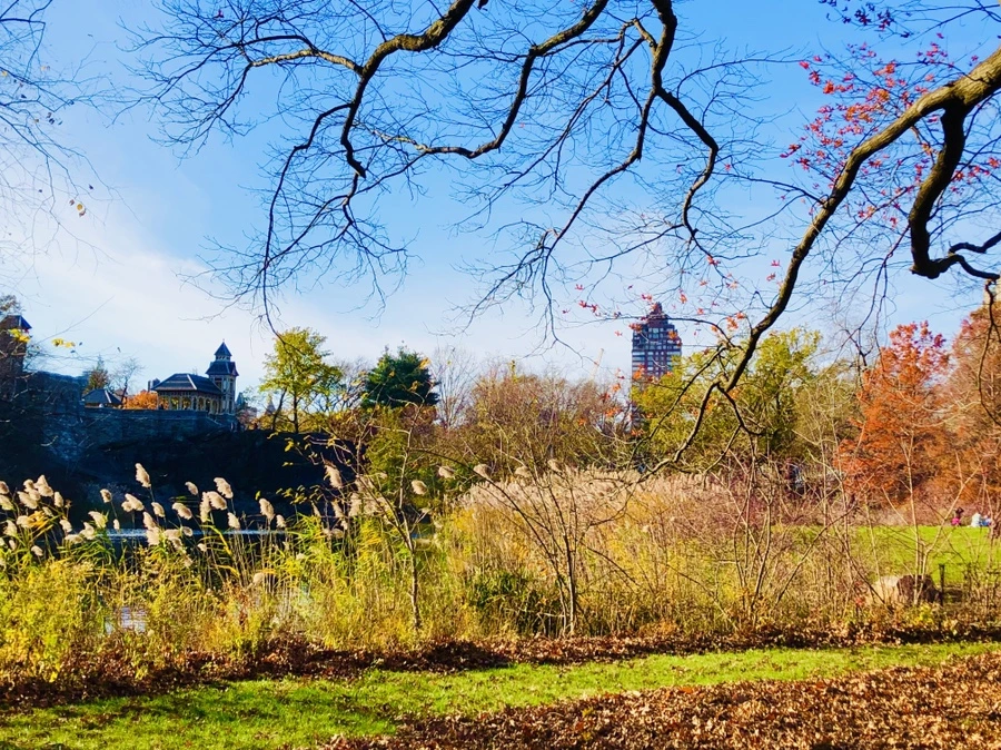 IMG_5327.jpg?type=w966