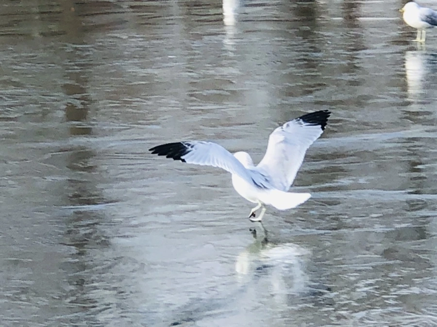 IMG_4678.jpg?type=w966