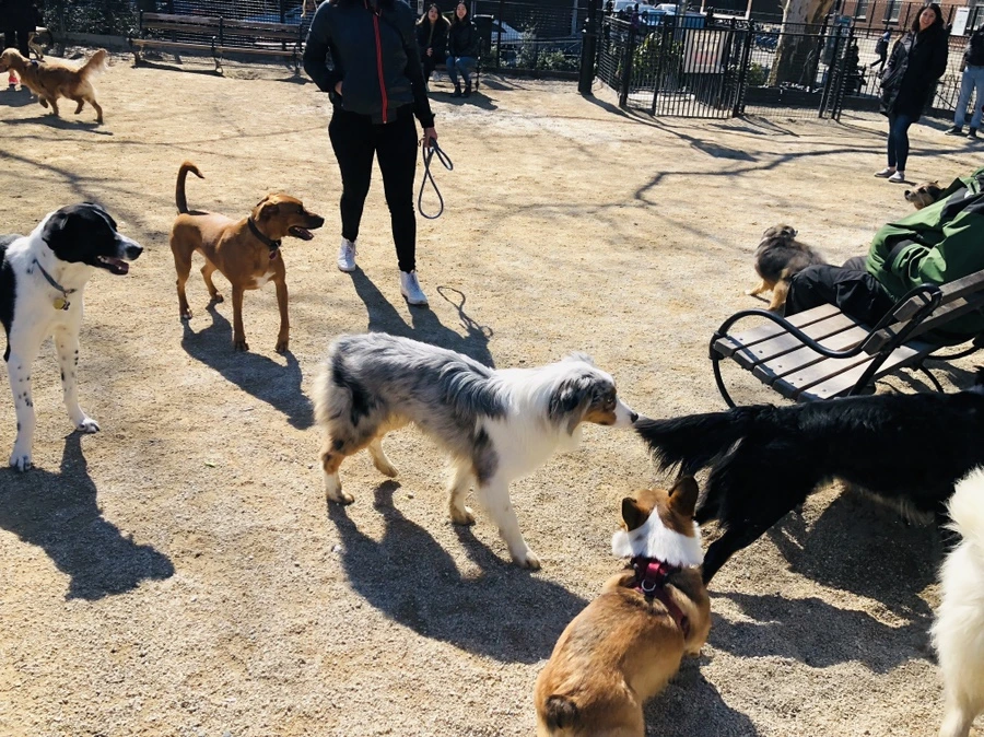 IMG_0656.jpg?type=w966