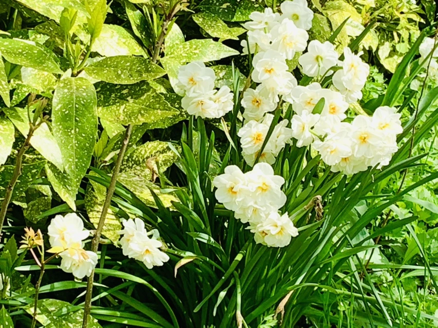 IMG_6891.jpg?type=w966