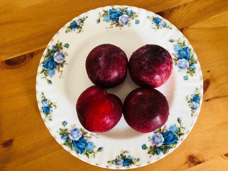 IMG_3175.jpg?type=w966