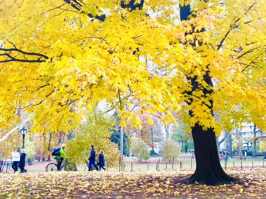 IMG_5632.jpg?type=w966