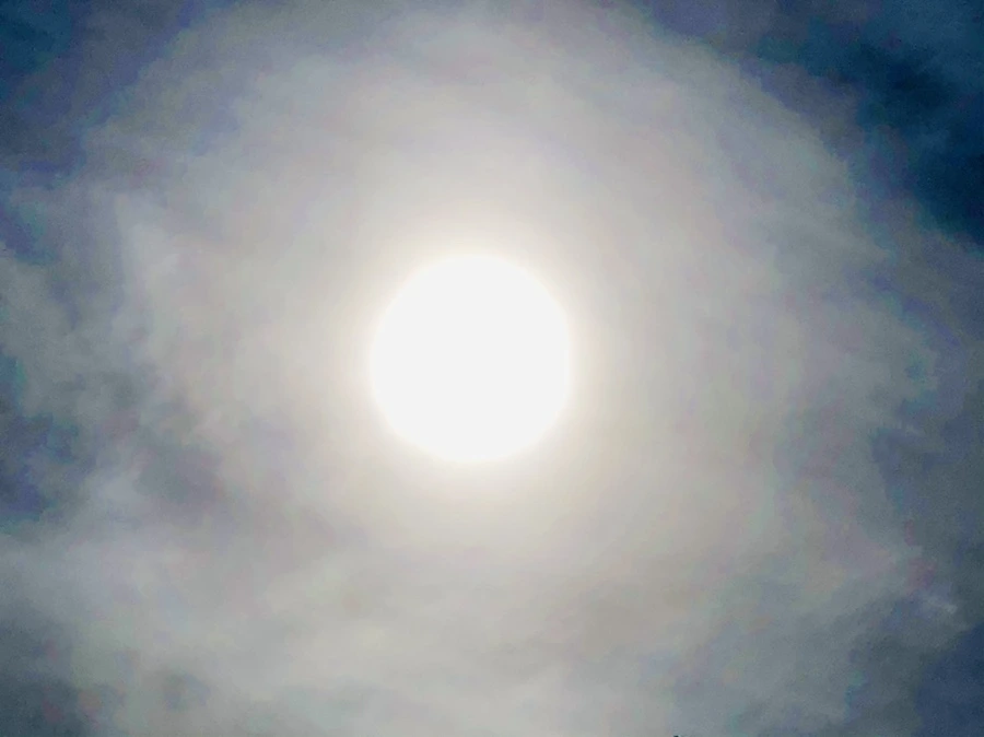 IMG_3121.jpg?type=w966