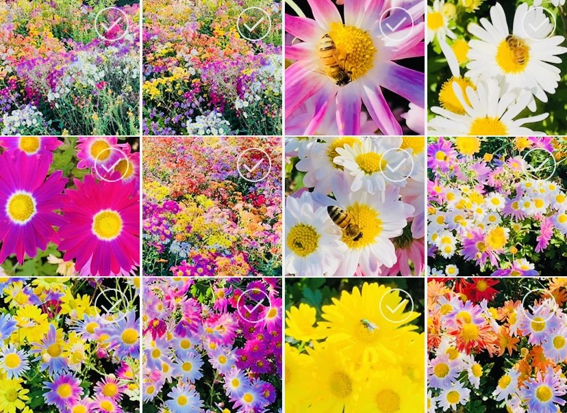 IMG_9225.jpg?type=w966