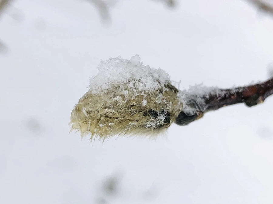 IMG_3565.jpg?type=w966