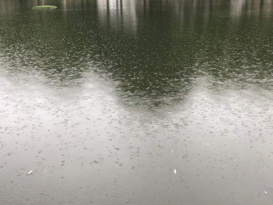 IMG_3265.jpg?type=w966