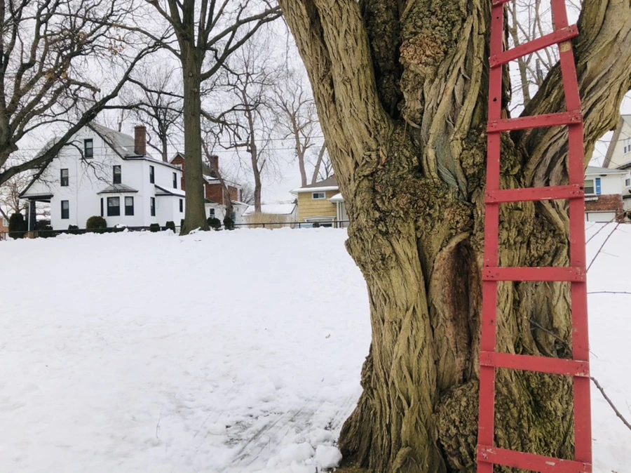 IMG_2687.jpg?type=w966