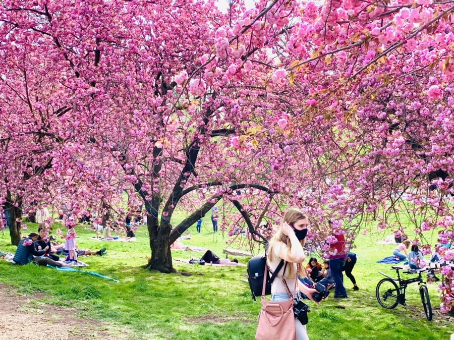 IMG_5190.jpg?type=w966