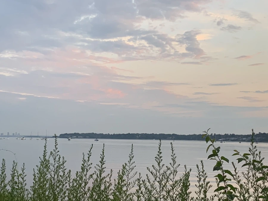 IMG_1175.jpg?type=w966