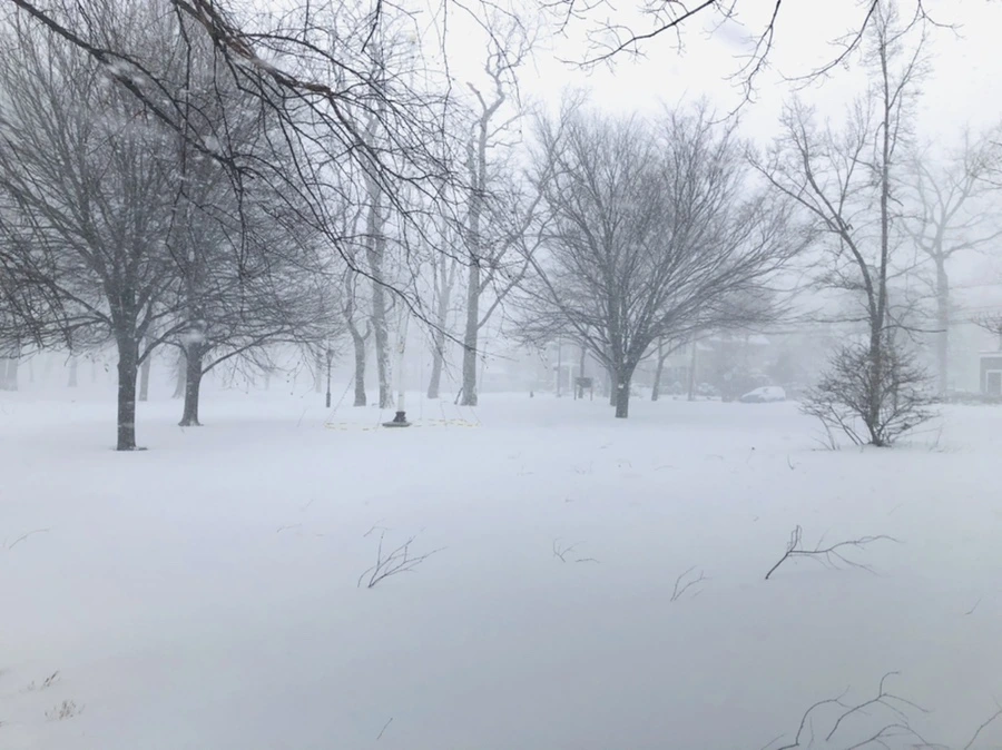 IMG_8805.jpg?type=w966