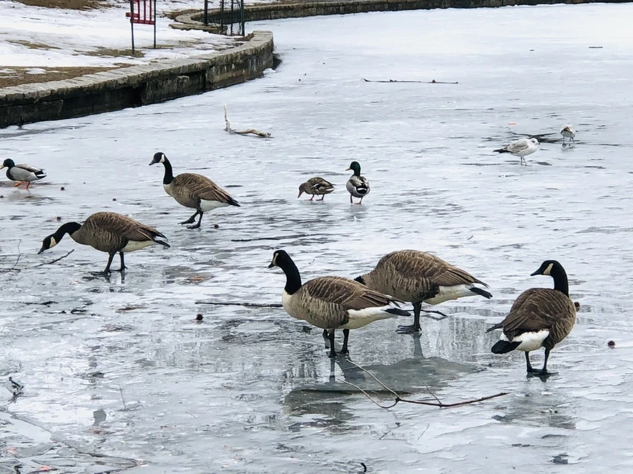 IMG_6192.jpg?type=w966