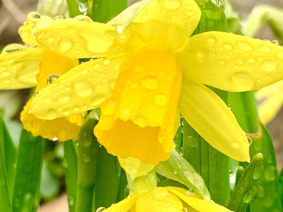 IMG_3722.jpg?type=w966