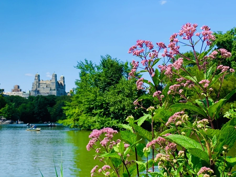 IMG_4468.jpg?type=w966