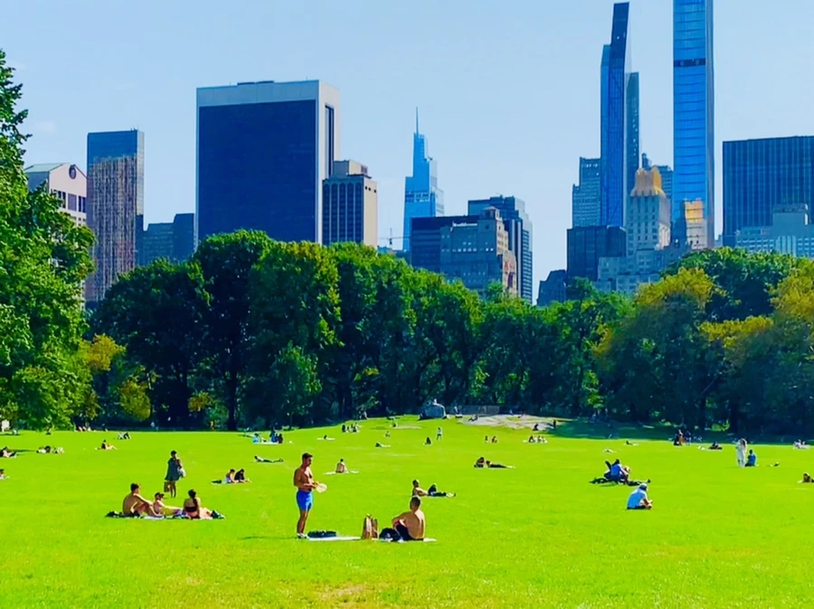 IMG_9688.jpg?type=w966