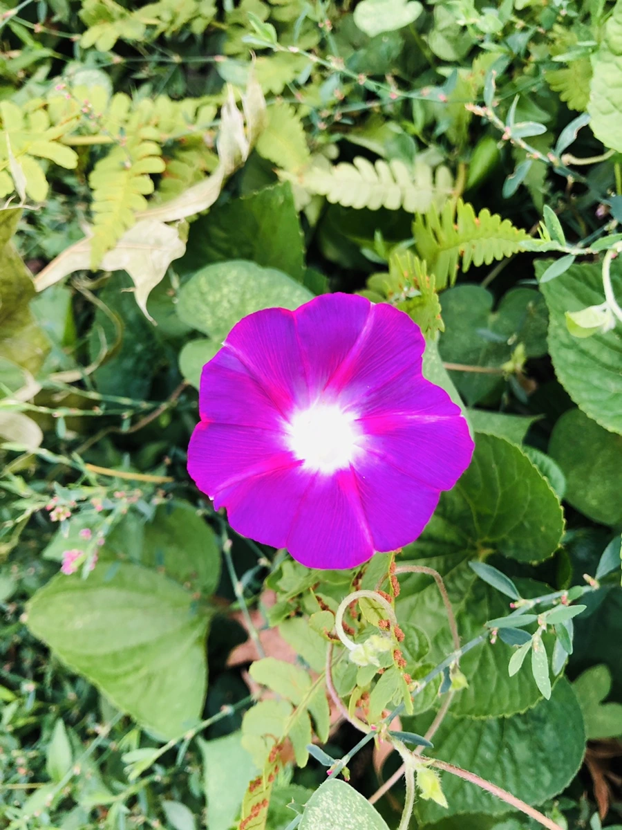 IMG_4003.jpg?type=w966