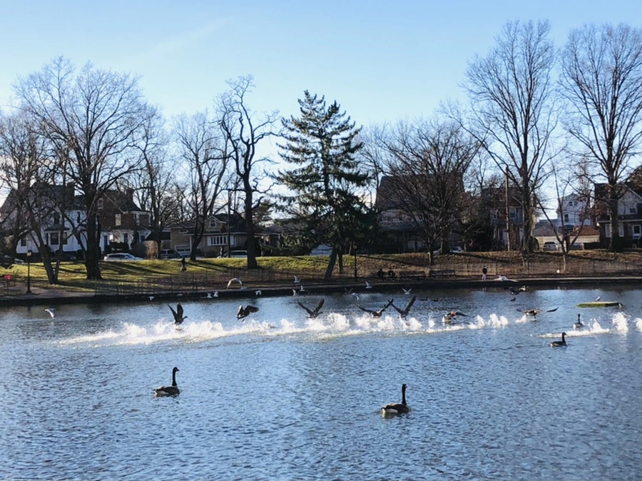 IMG_9247.jpg?type=w966