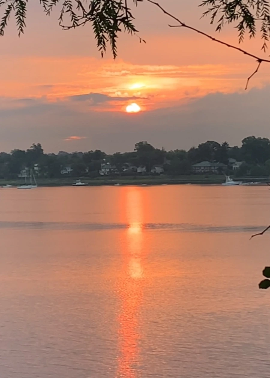 IMG_0223.jpg?type=w966