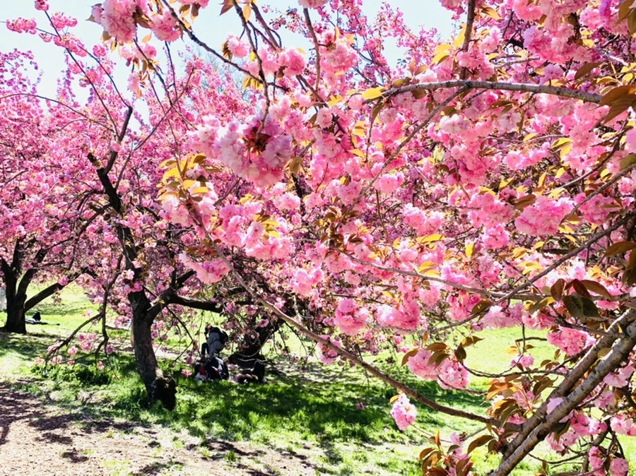 IMG_5920.jpg?type=w966