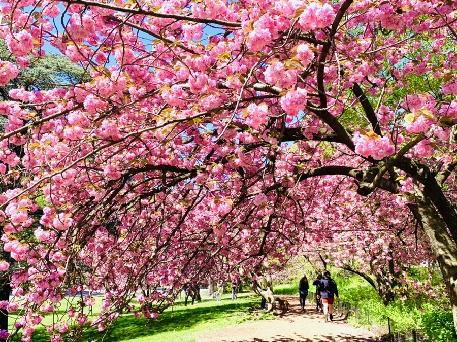 IMG_5914.jpg?type=w966