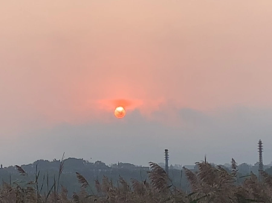 IMG_1117.jpg?type=w966