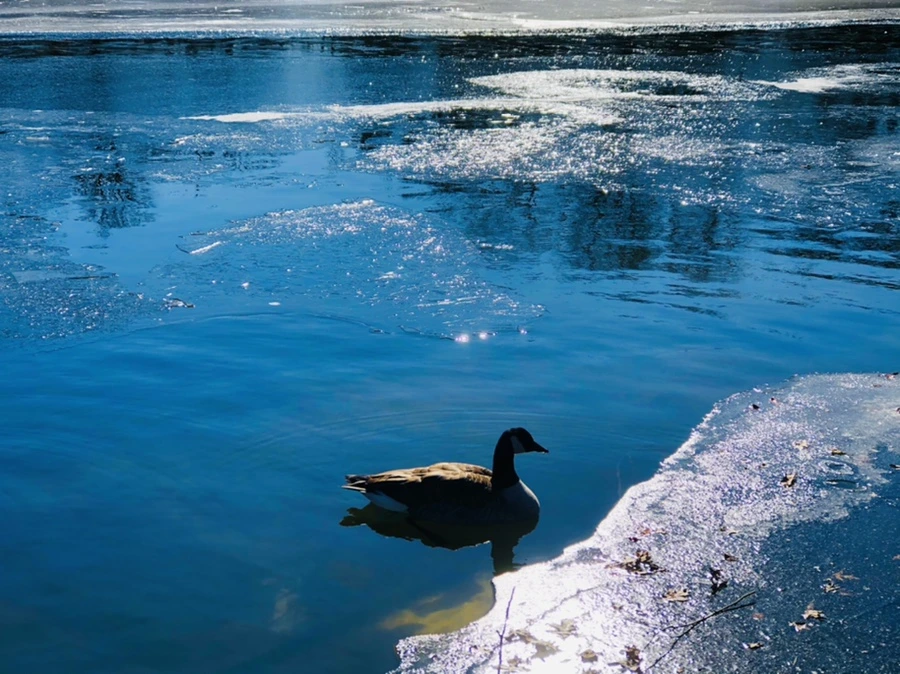 IMG_7837.jpg?type=w966