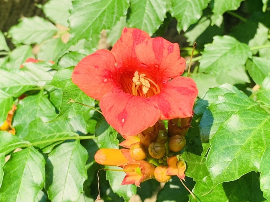 IMG_8273.jpg?type=w966