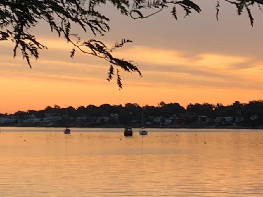 IMG_5884.jpg?type=w966