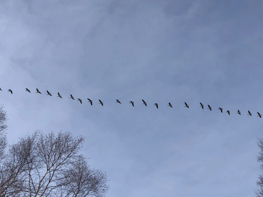 EAZCgNMg3CQWtM6J_S5sTwmKpVc