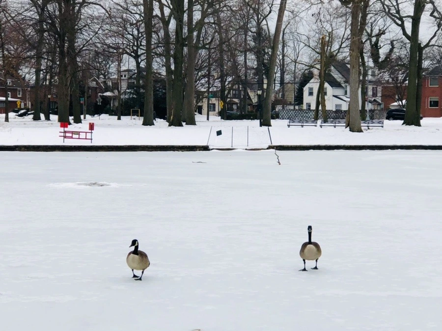 ECWWIOqSyxFsFemcghs9NtksU7U