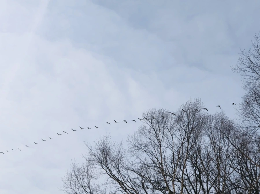 IMG_2261.jpg?type=w966