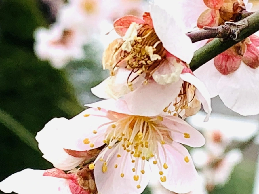 IMG_3617.jpg?type=w966