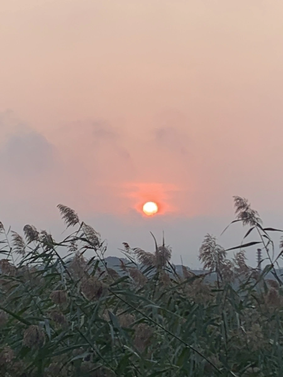 IMG_1099.jpg?type=w966