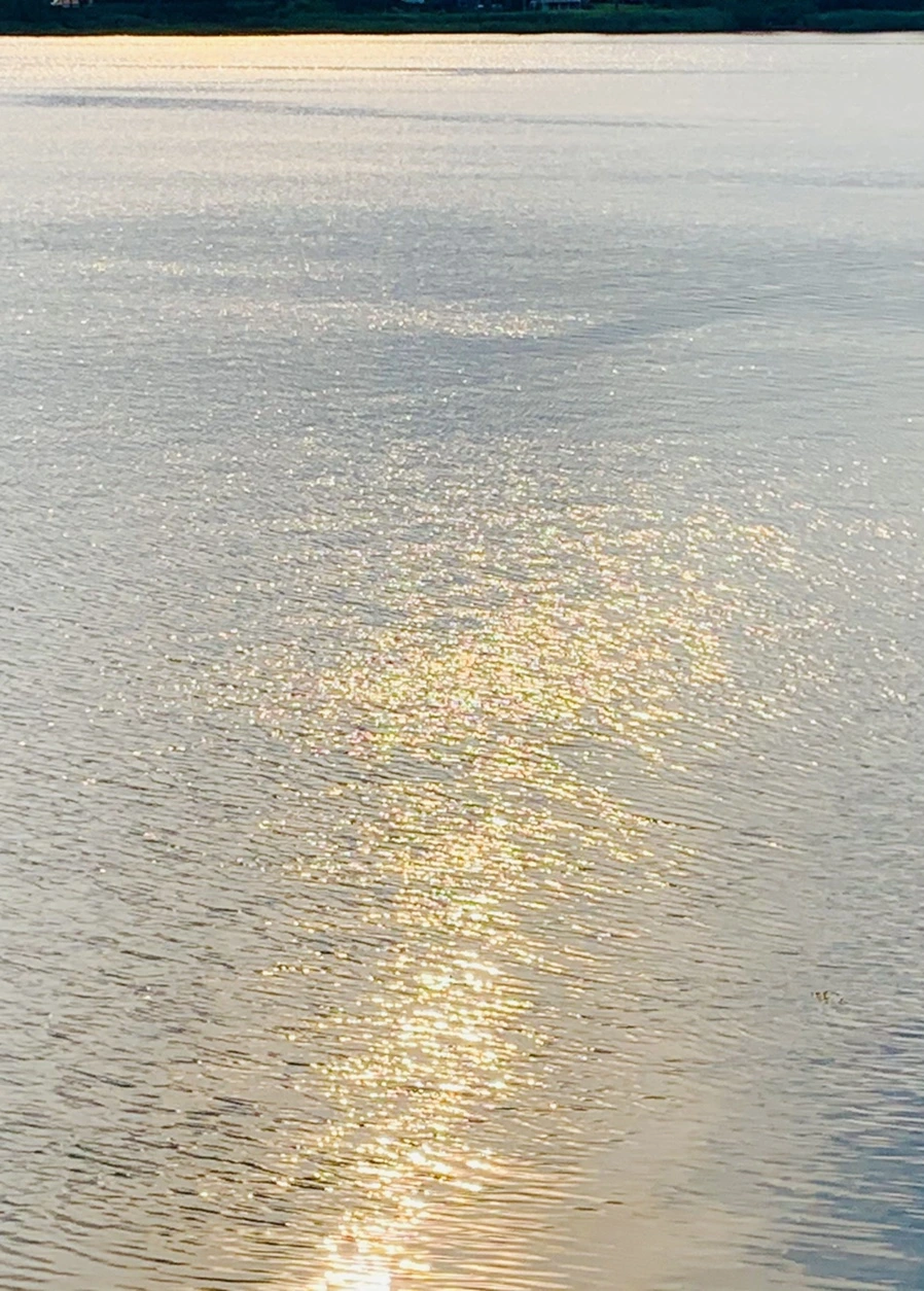 IMG_1580.jpg?type=w966