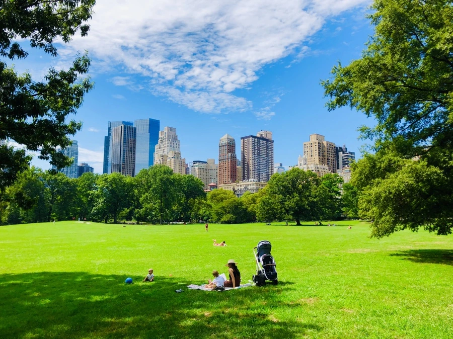 IMG_9053.jpg?type=w966