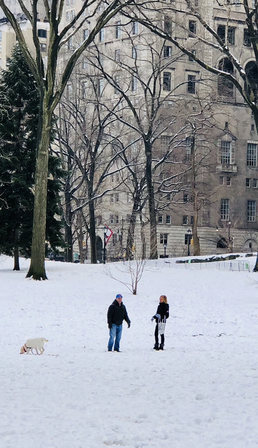 IMG_0397.jpg?type=w966