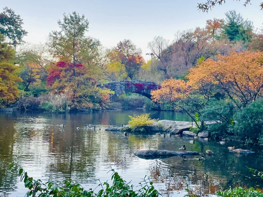 IMG_1505.jpg?type=w966