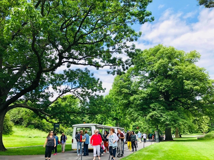 IMG_7235.jpg?type=w966