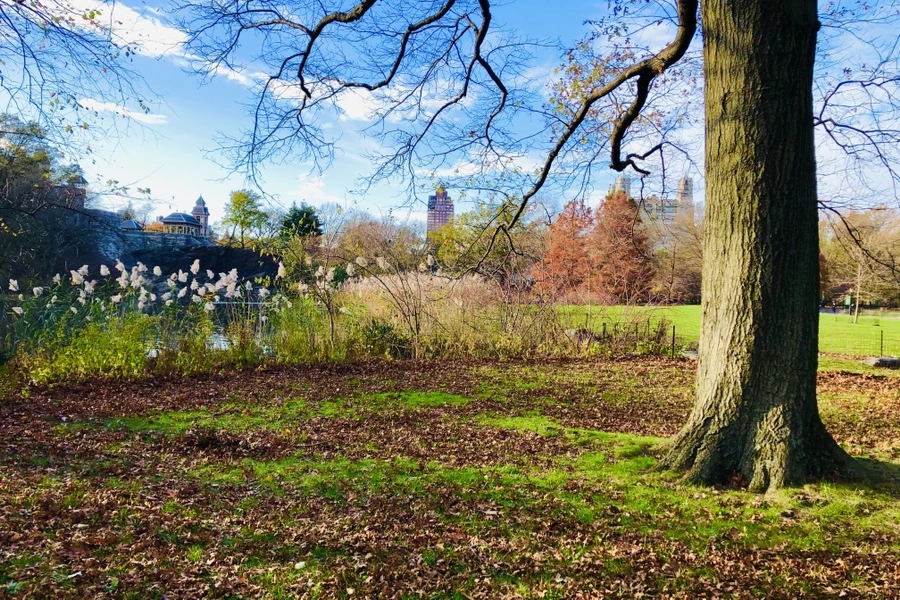 IMG_5001.jpg?type=w966