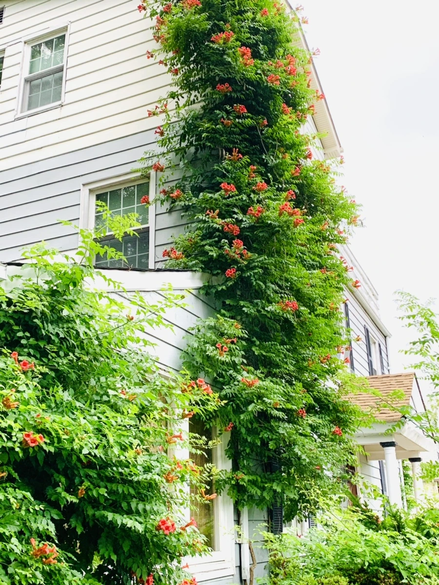 IMG_7435.jpg?type=w966