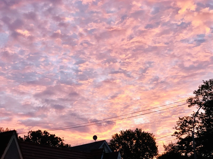 IMG_3708.jpg?type=w966