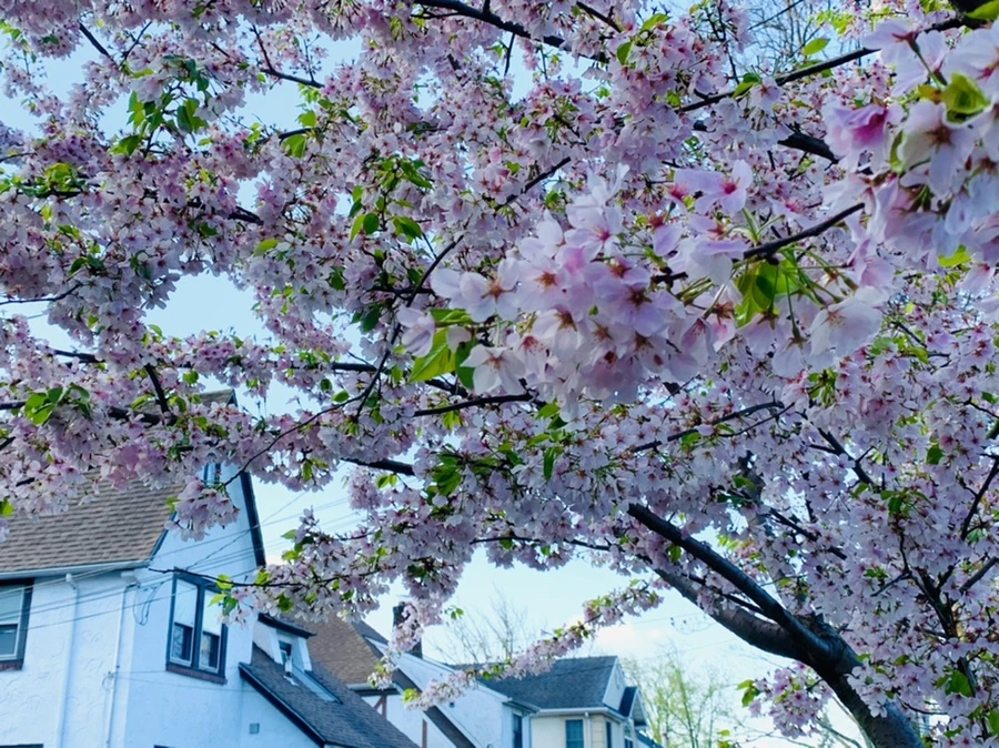 IMG_2653.jpg?type=w966