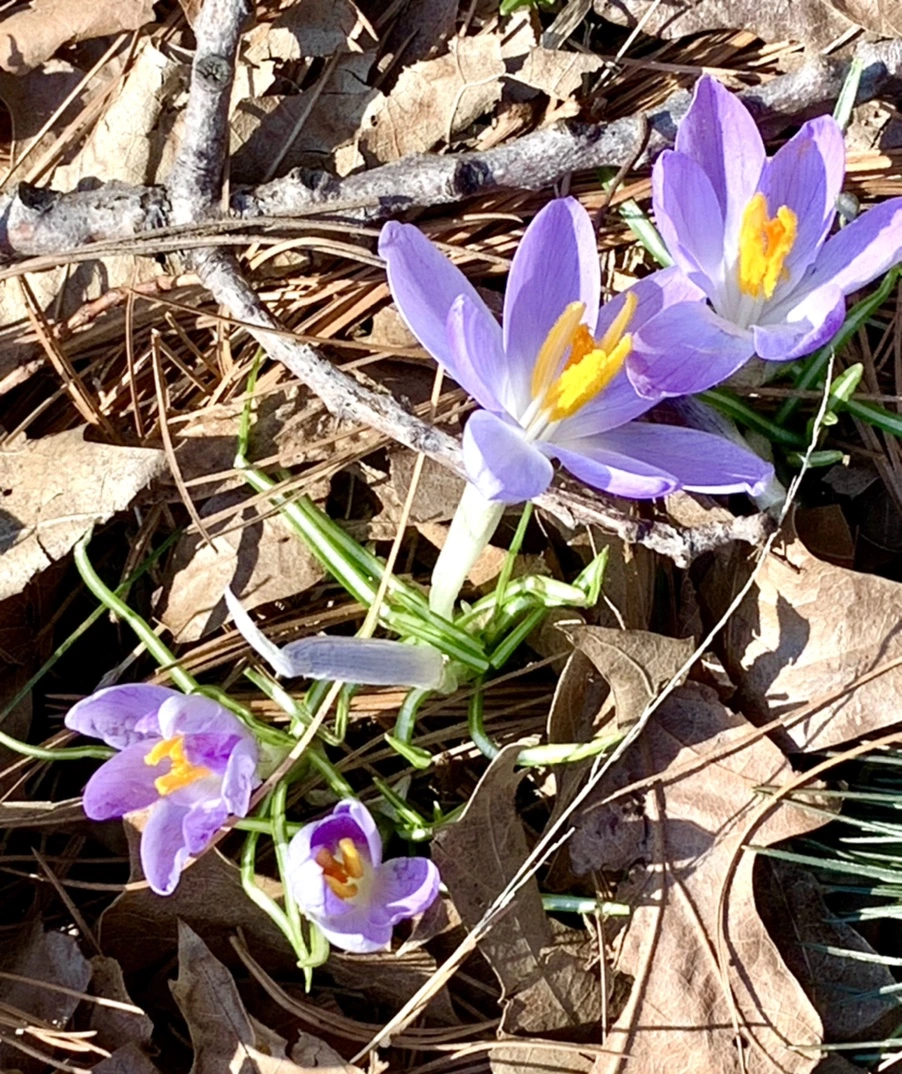 IMG_9741.jpg?type=w966