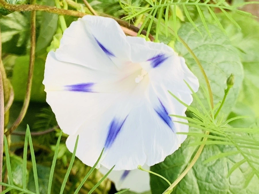 EggYHWA8c3oWxx6LxWdNhD85JWw