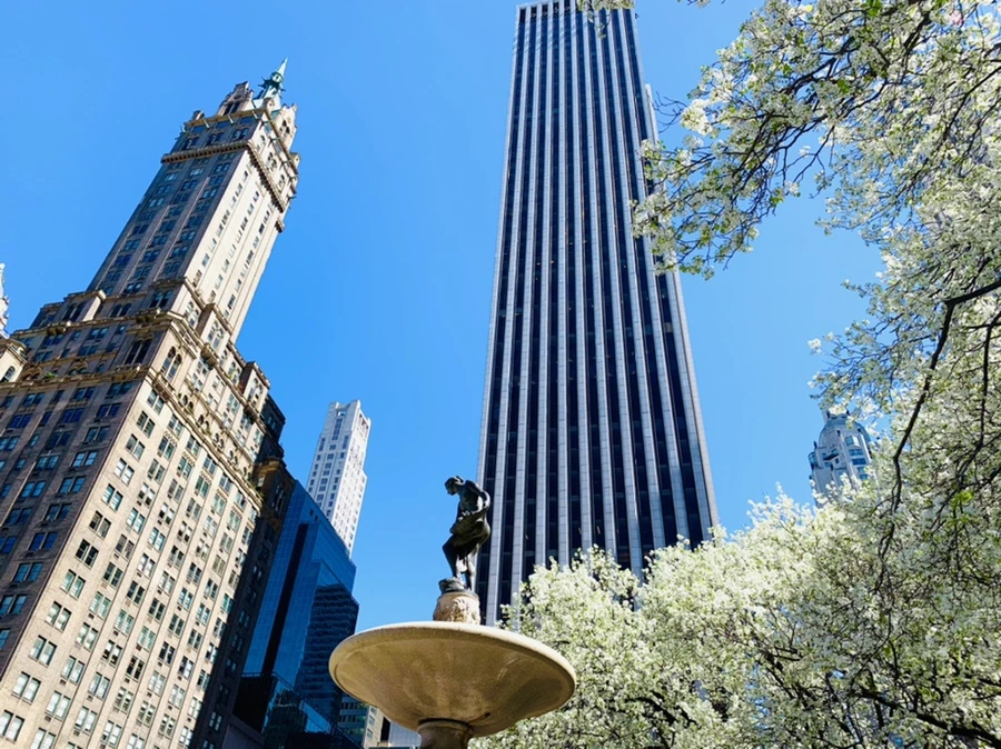 IMG_1610.jpg?type=w966