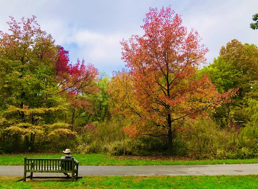 IMG_2287.jpg?type=w966