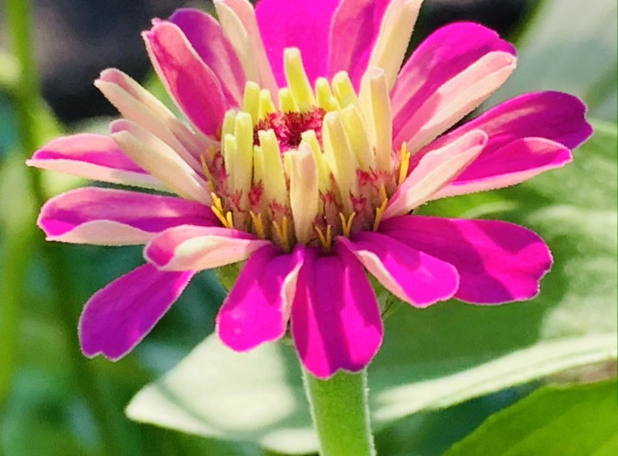 IMG_8733.jpg?type=w966