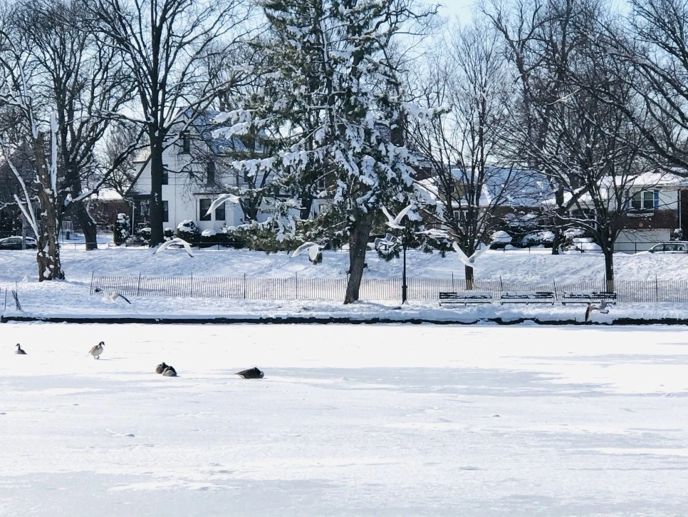 IMG_1304.jpg?type=w966